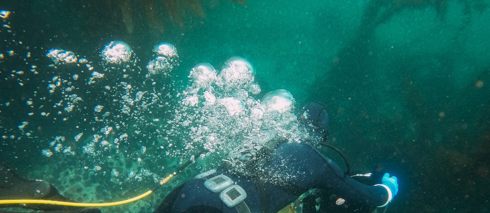 Speyside Diving